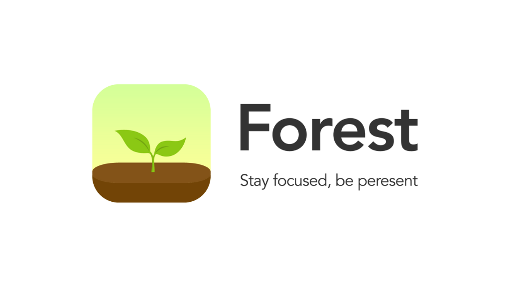 Picture Forest